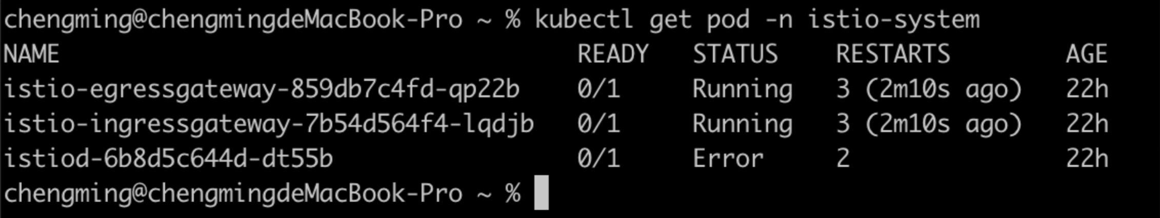 istio status
